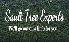 Sault Tree Experts