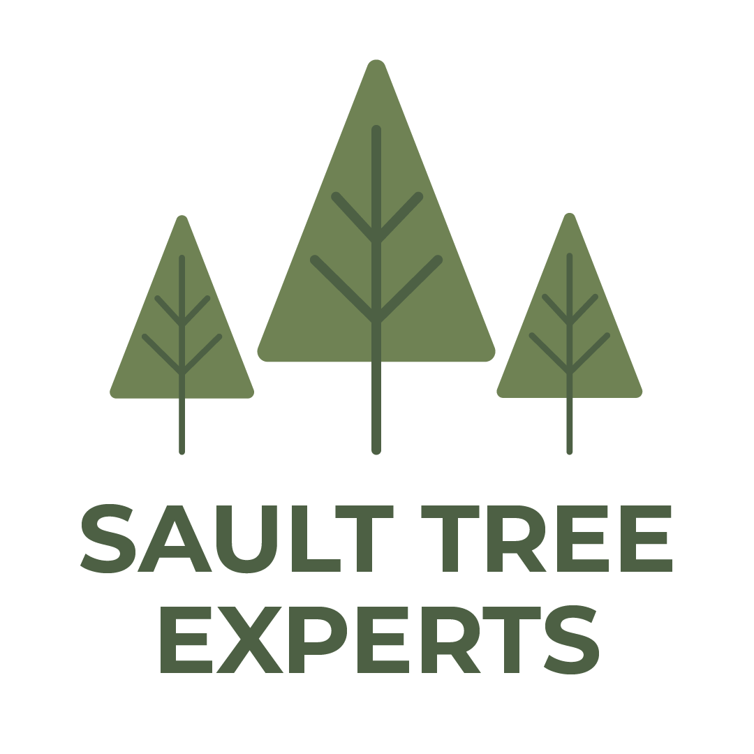 Sault Tree Experts